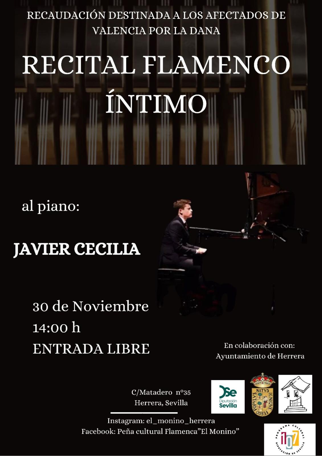 WhatsApp Image 2024-11-20 at 14.26.30