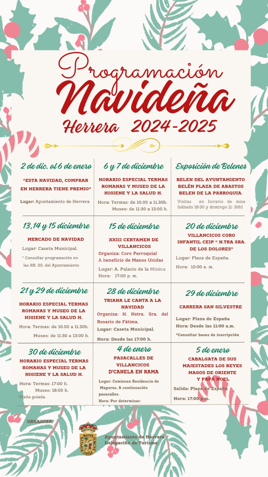 WhatsApp Image 2024-12-17 at 09.07.15 (1)