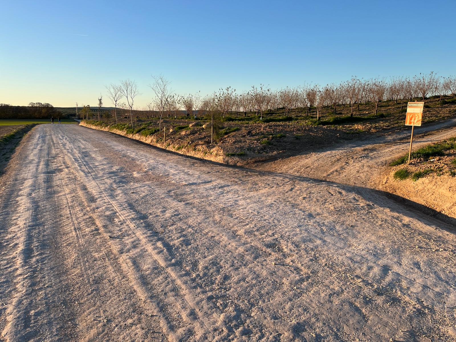 WhatsApp Image 2025-01-15 at 10.37.26 (1)