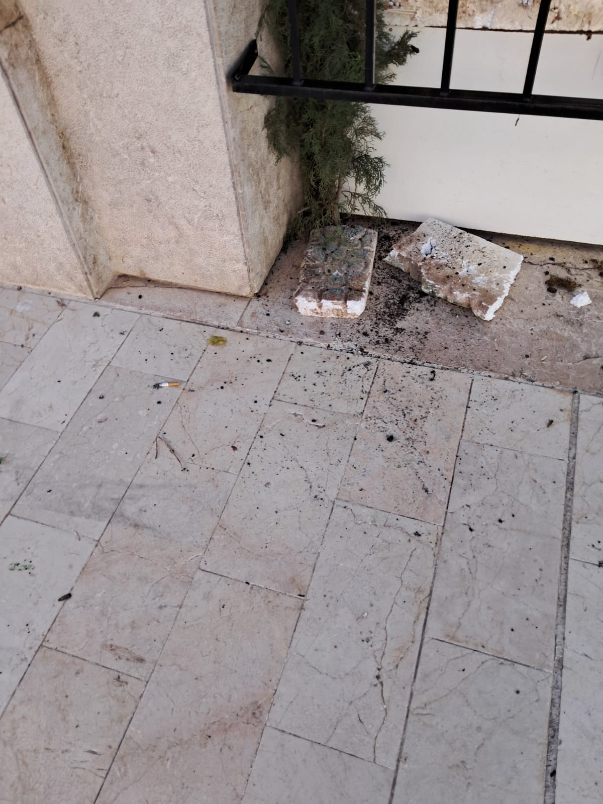 WhatsApp Image 2025-12-14 at 13.21.25 (4)