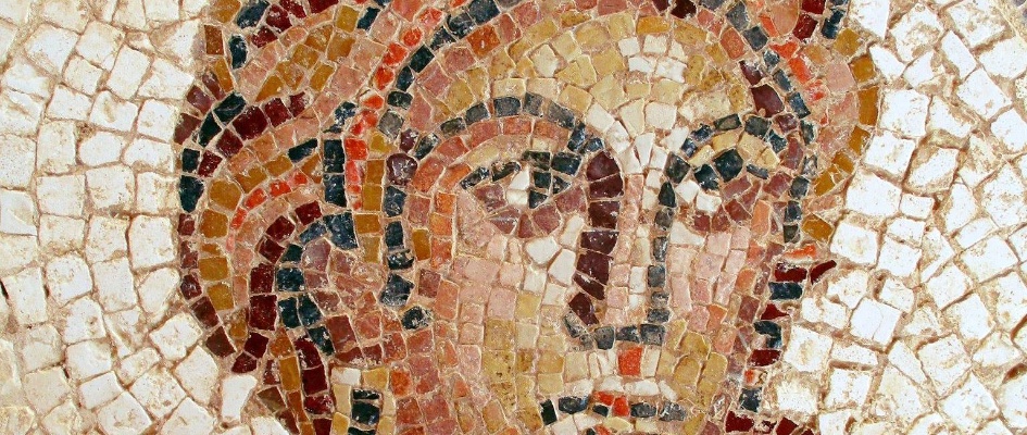 308015086_412514257734043_9072300754944113256_n