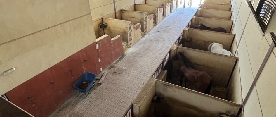 528689932_1073426214899211_2028335602197937031_n