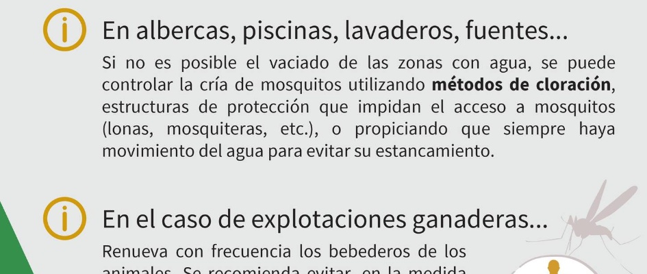 535551316_1085723707002795_116584637612196795_n