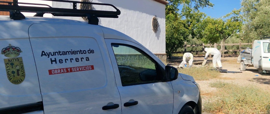 WhatsApp Image 2024-10-14 at 10.03.10 (3)