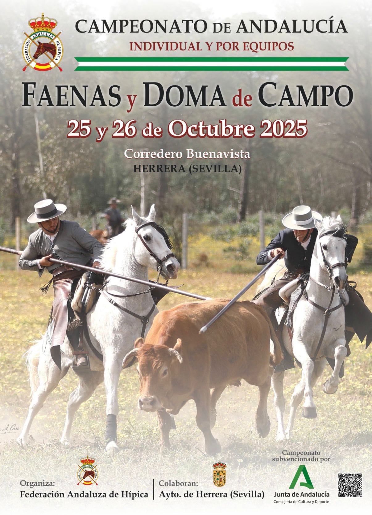 WhatsApp Image 2025-10-21 at 08.07.21