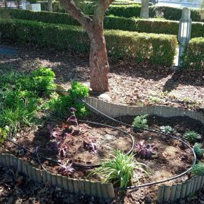 465800904_3928279577497587_8887629490760250577_n