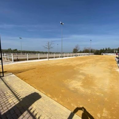 131267332_2839388613053361_1116262759523318845_n