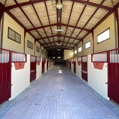 131291673_2839388653053357_2872893475978102203_n