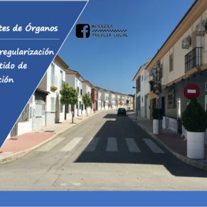 164375206_1901395070021615_336778432115523772_o