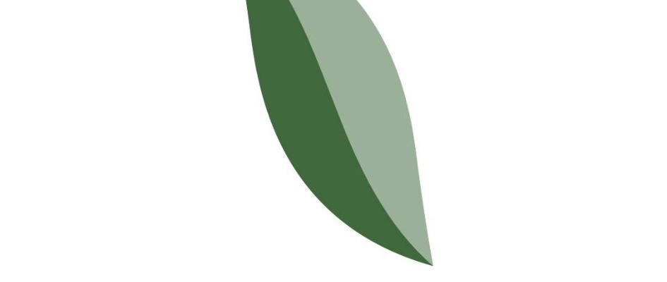 425282001_762910139192409_7739316110128789639_n