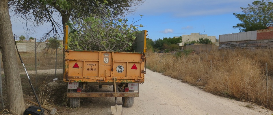 463855274_867552745486560_9018048407085682959_n