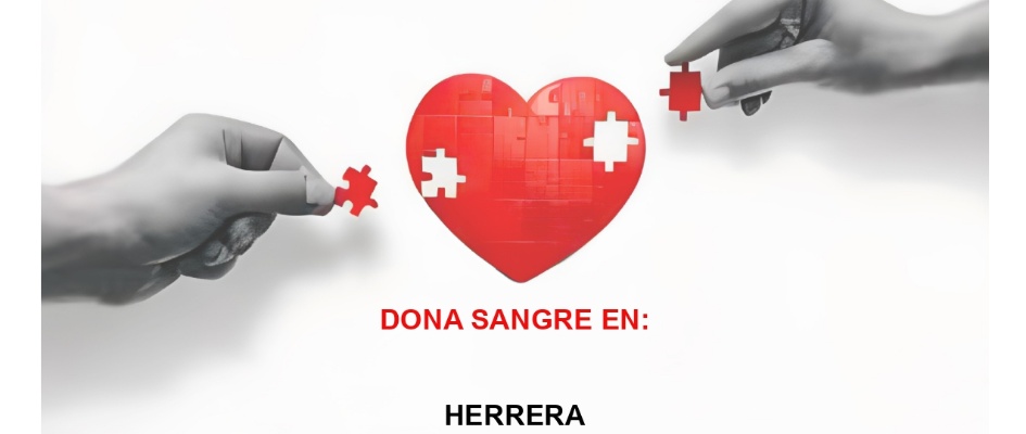 469534823_902792395295928_4851160355719611627_n