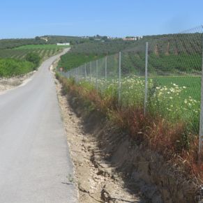 489440102_4062362267422650_5375298975471763424_n