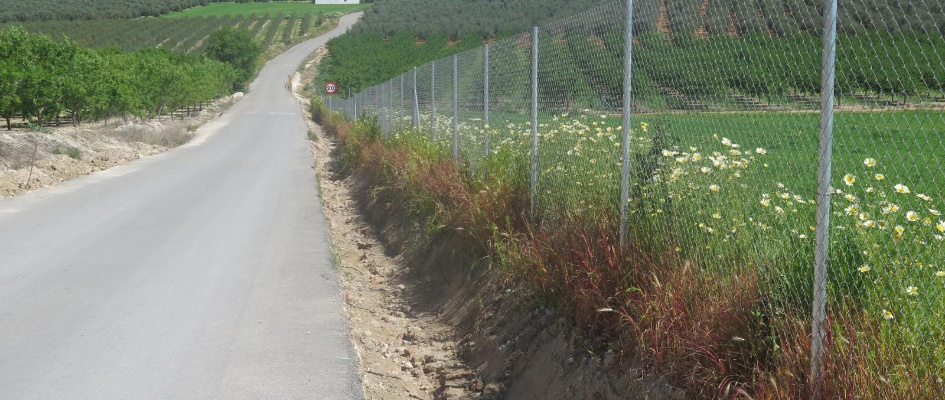 489440102_4062362267422650_5375298975471763424_n