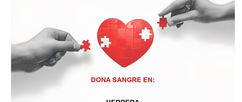 492369891_998387275736439_8342146954412786214_n - copia