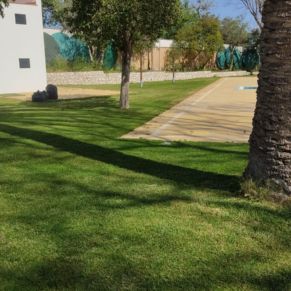 492515196_4079567605702116_1196552675307474084_n