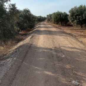 513958569_1044300567811776_272124043522935236_n