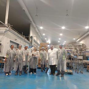 526869065_1072610508314115_4306838791437449413_n