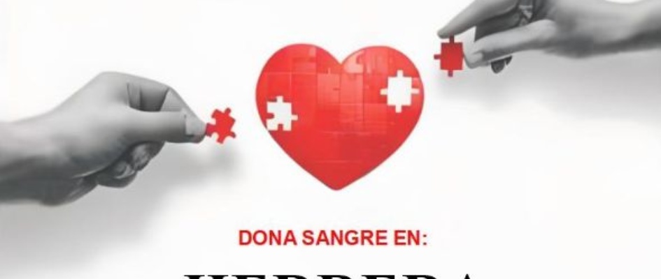 527309785_1070144808560685_2821282873442348678_n