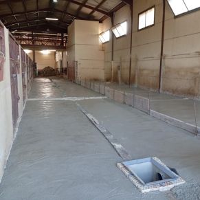 528043852_1073425988232567_7837766375280597235_n