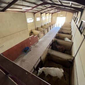 528689932_1073426214899211_2028335602197937031_n