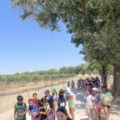 529230752_1228820239256464_1143830270108699697_n