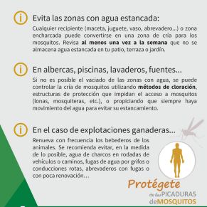 535551316_1085723707002795_116584637612196795_n