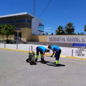 537102134_4197556910569851_8092360160896088572_n