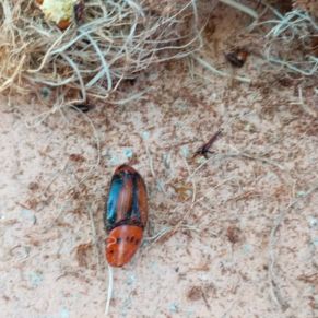 543354686_4215338745458334_6261146230951758635_n