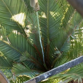 545024190_4215338415458367_8804709320101032520_n