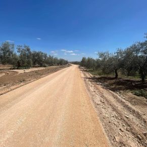 547510012_4223730917952450_3145658776458697212_n