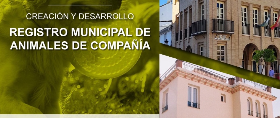 554256670_1610382113658875_6349455487337191861_n