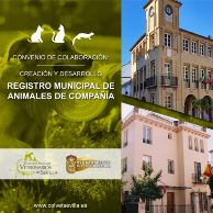 554256670_1610382113658875_6349455487337191861_n