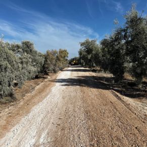 555446473_4237009739957901_1443823881368555630_n