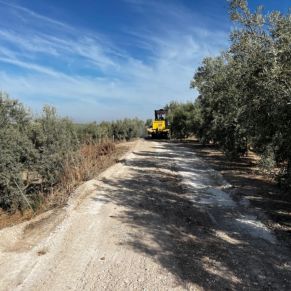 555543475_4237009673291241_7743062733946452617_n