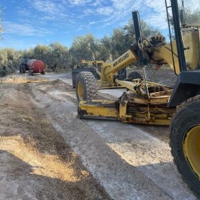 556583789_4237009749957900_4121838507399542385_n