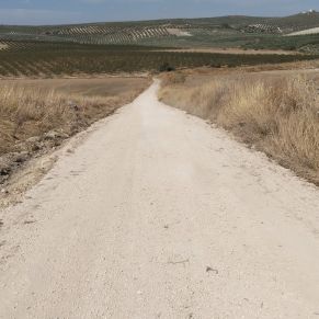 560206861_17911037634228117_8834744506237661954_n