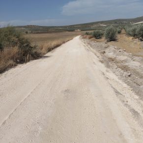 560433080_17911037637228117_7493828683077081255_n