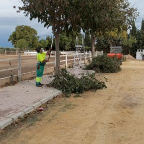 574575879_4278517239140484_6510121988780350447_n