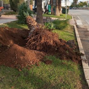 574909102_4278517442473797_95282894773939773_n