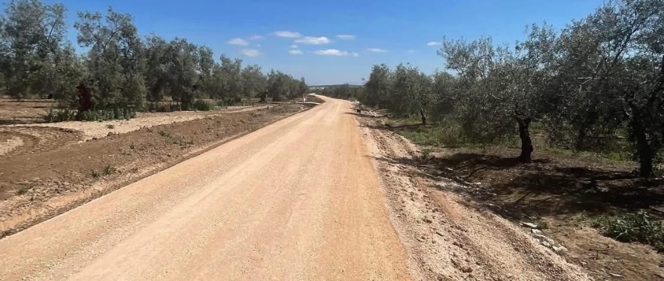 597635062_4313777525614455_2703474202387430445_n