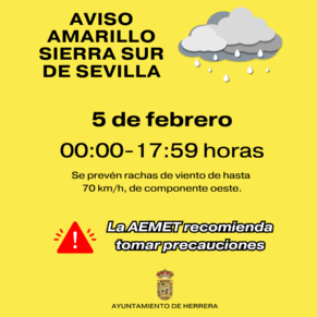 AVISO AMARILLO (2)