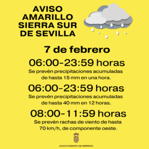 AVISO AMARILLO (3)