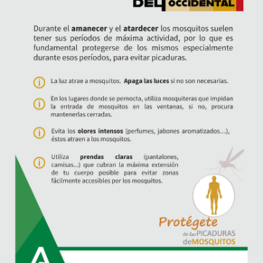 Diseño sin título (12)