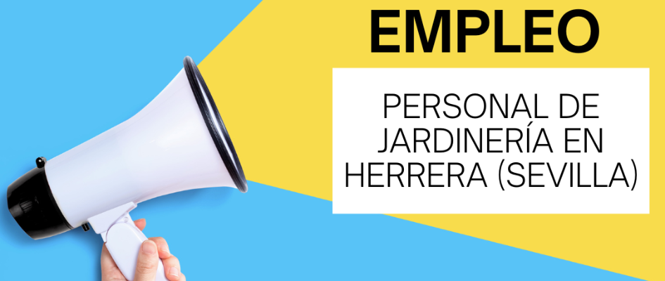 OFERTA DE EMPLEO (6)