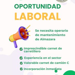 OFERTA EMPLEO 26