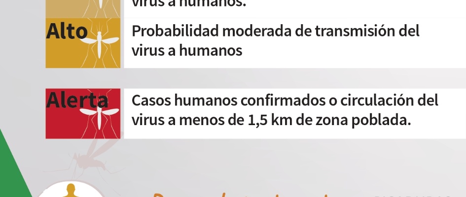 nivelesVNO_page-0001