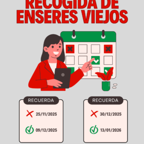 recogida de enseres viejos